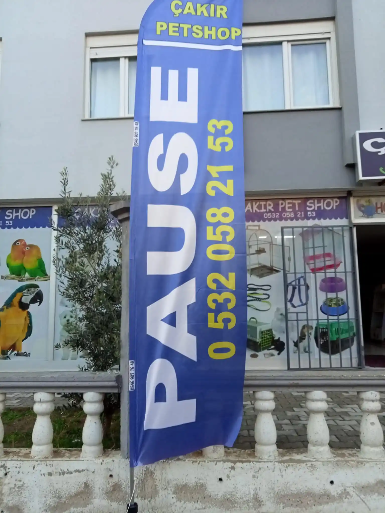 Petshop Yelken Bayrağı-11