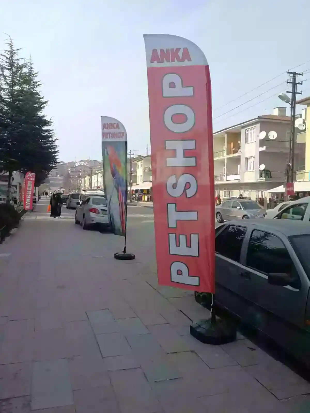 Petshop Yelken Bayrağı-18