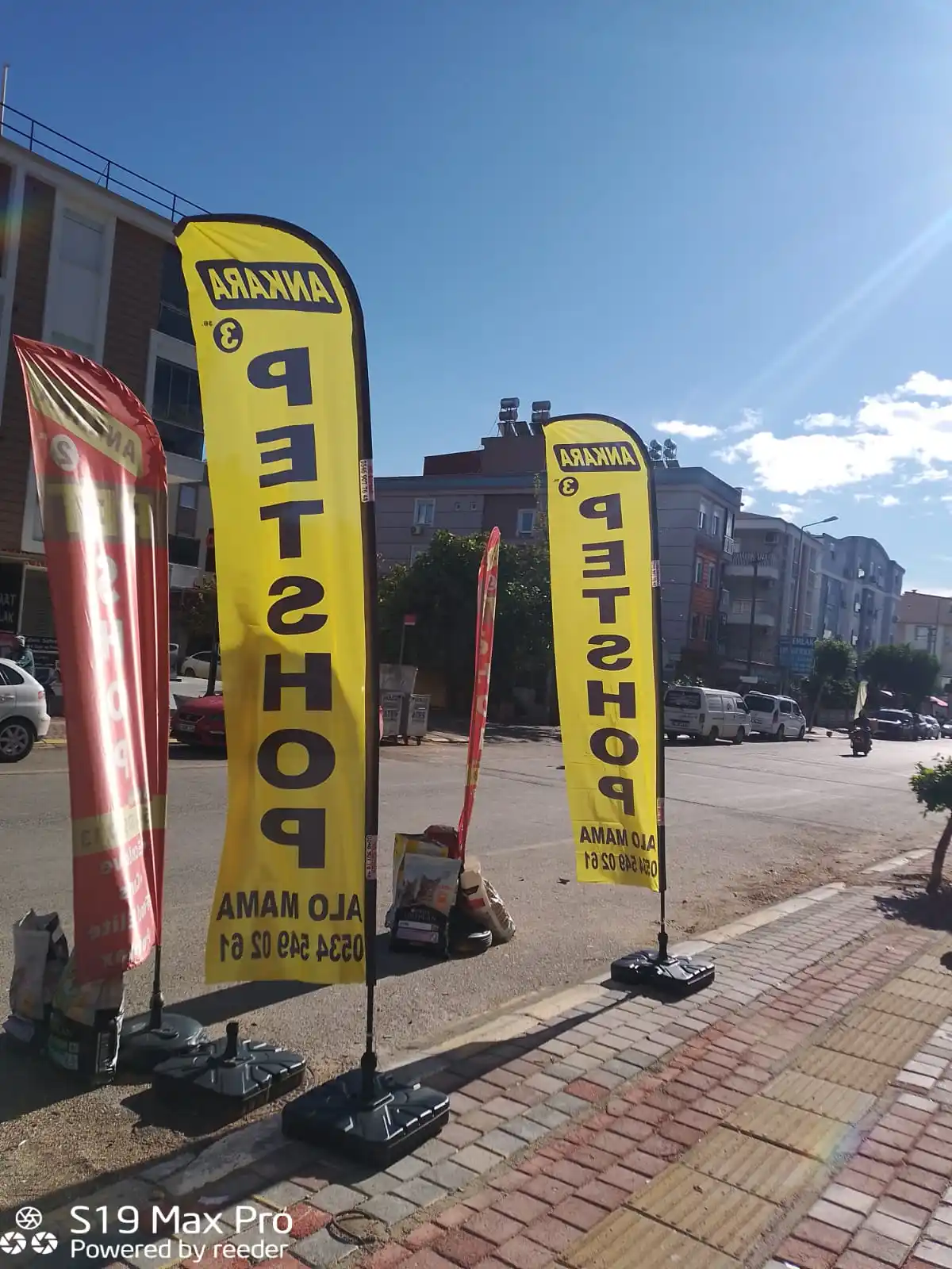 Petshop Yelken Bayrağı-24