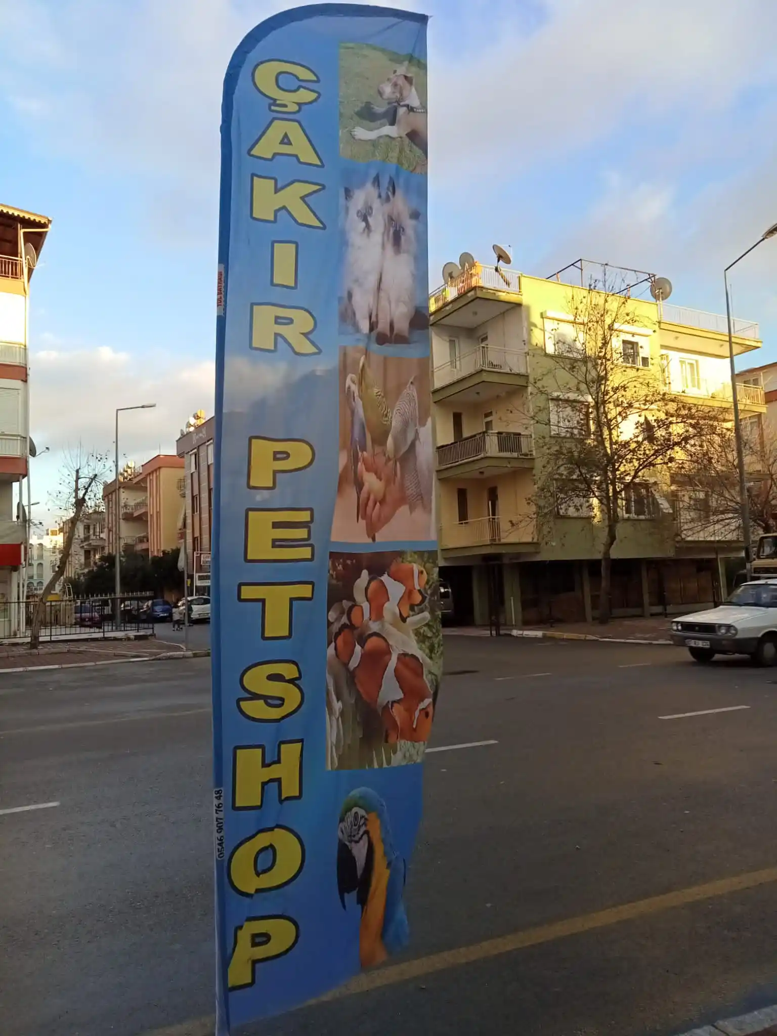 Petshop Yelken Bayrağı-28