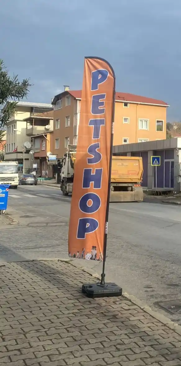Pet Shop Yelken Bayrağı-38